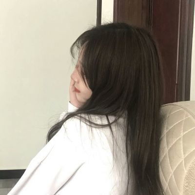 宠物训练师手游bt版下载