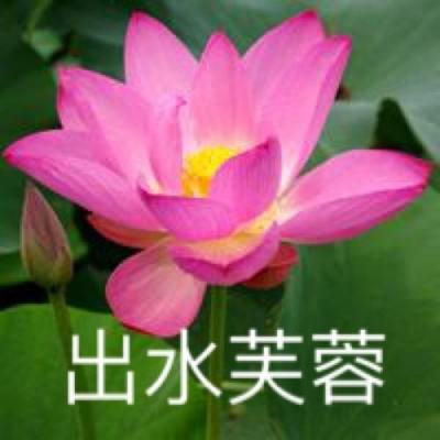 大天使之剑h5小米官方版下载